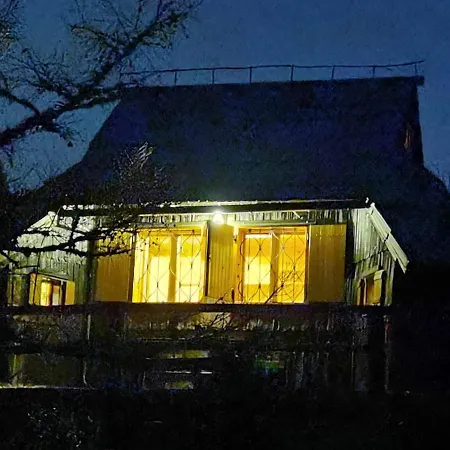 Koca Kronca - Velika Planina *