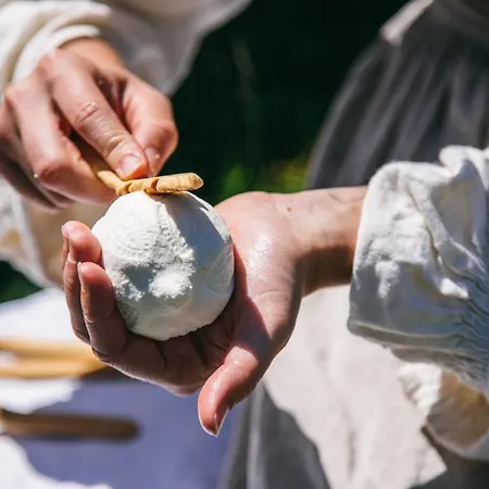 Koca Kronca - Velika Planina