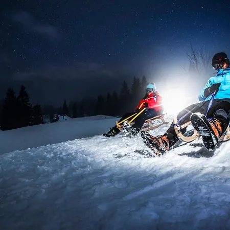 Dağ evi Koca Kronca - Velika Planina