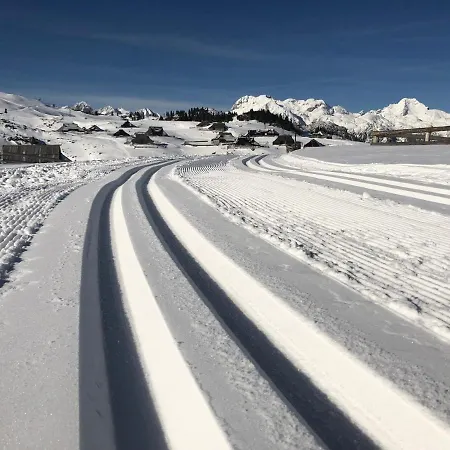 Koca Kronca - Velika Planina Chalet