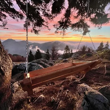 Koca Kronca - Velika Planina *