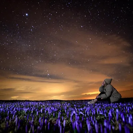 Koca Kronca - Velika Planina Brvnara