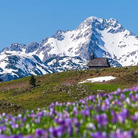 Koca Kronca - Velika Planina *