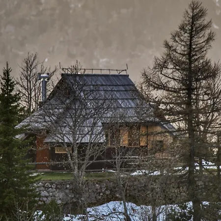 Dağ evi Koca Kronca - Velika Planina