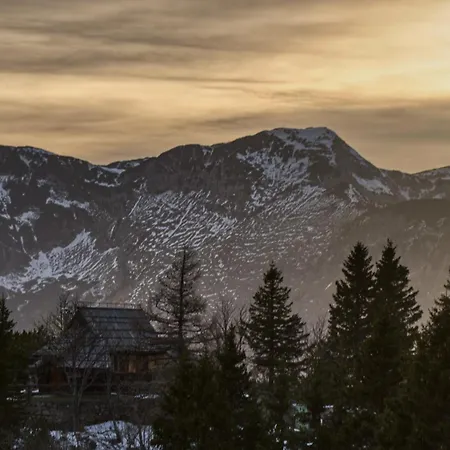 Koca Kronca - Velika Planina *