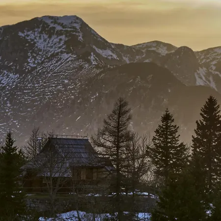 Koca Kronca - Velika Planina