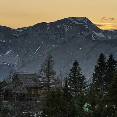 Koca Kronca - Velika Planina Dağ evi Stahovica
