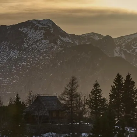Koca Kronca - Velika Planina Dağ evi
