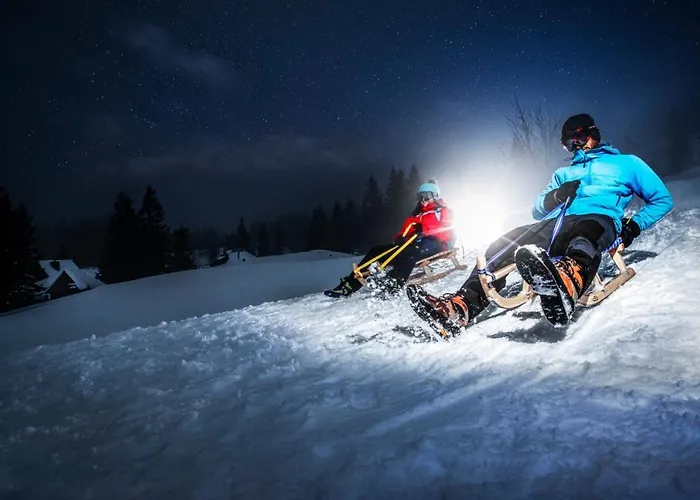 Horská chata Koca Kronca - Velika Planina