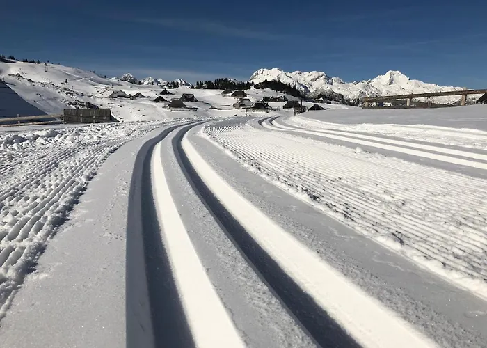 Koca Kronca - Velika Planina Horská chata