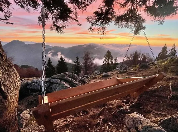 Koca Kronca - Velika Planina *