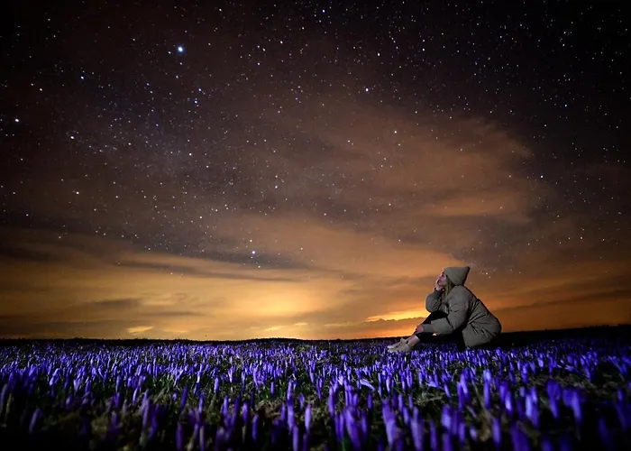 Koca Kronca - Velika Planina Horská chata