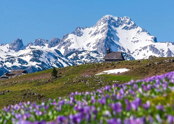 Koca Kronca - Velika Planina *