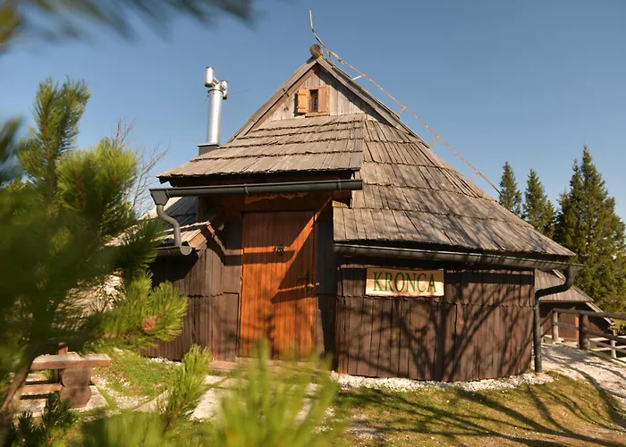 Koca Kronca - Velika Planina