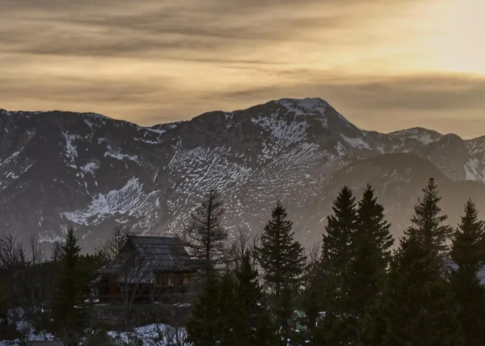 Koca Kronca - Velika Planina *