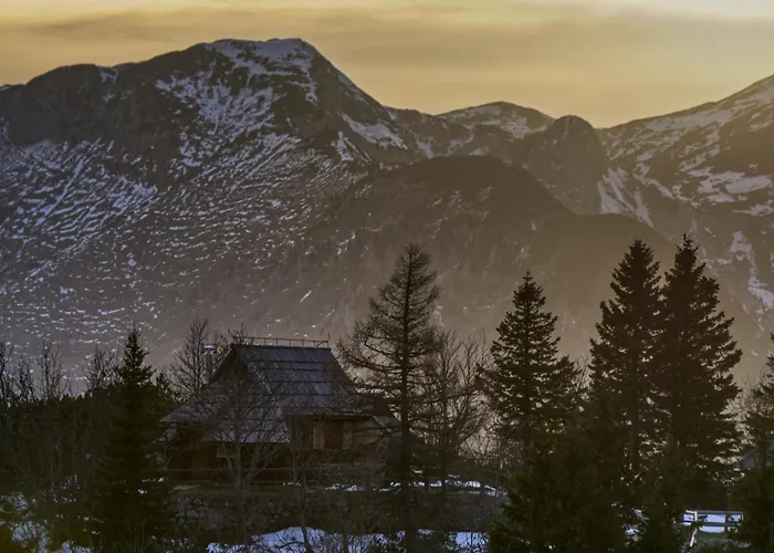 Koca Kronca - Velika Planina